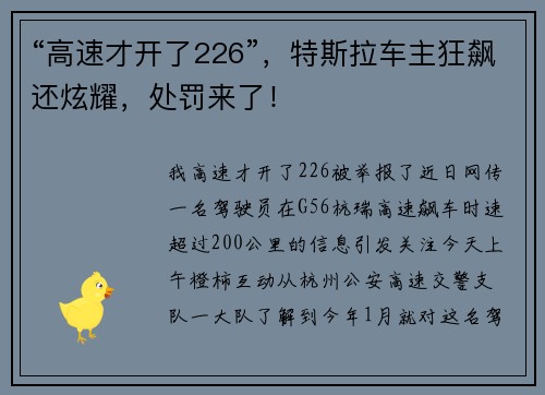 “高速才开了226”，特斯拉车主狂飙还炫耀，处罚来了！