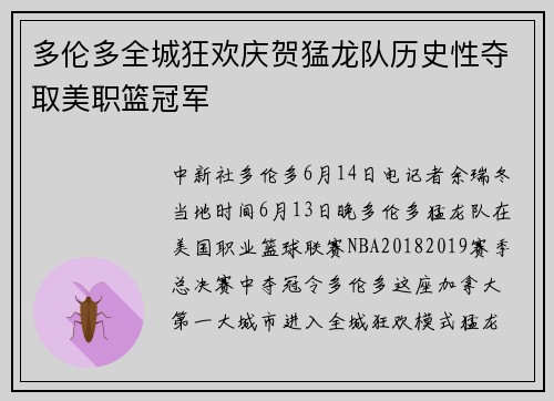 多伦多全城狂欢庆贺猛龙队历史性夺取美职篮冠军